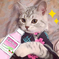 ˼˼������1̖��